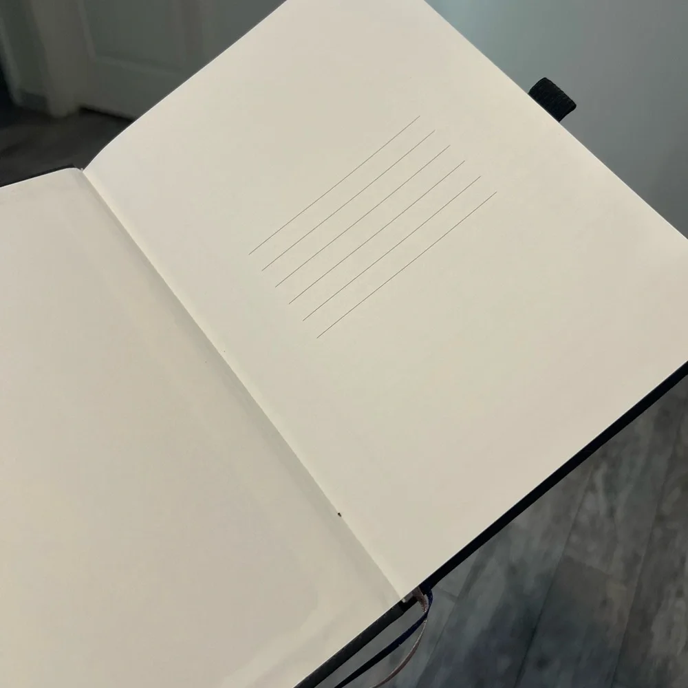 Apple sleek cover